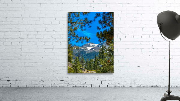 Mountain Through the Trees Wall Preview