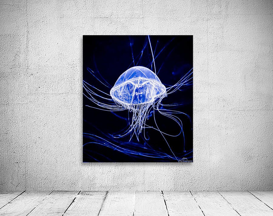 Jelly Fish Wall Preview