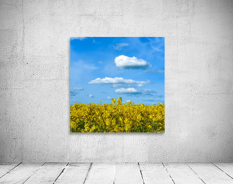 Yellow Fields Wall Preview