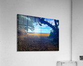 HK01 Acrylic Print