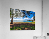 HK27 Acrylic Print