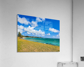HK33 Acrylic Print