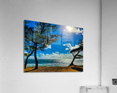 HK32 Acrylic Print