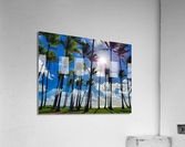 HK22 Acrylic Print