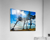 HK31 Acrylic Print