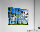 HK08 Acrylic Print