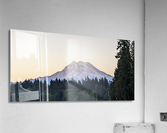 M11 Acrylic Print