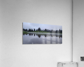Mi08 Acrylic Print