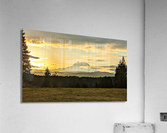M01 Acrylic Print