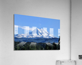 M19 Acrylic Print