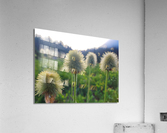 Mi15 Acrylic Print