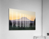 M16 Acrylic Print