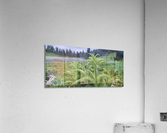 Mi04 Acrylic Print