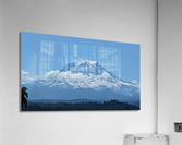 M21 Acrylic Print