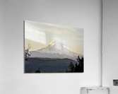 M17 Acrylic Print