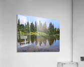 Mi03 Acrylic Print