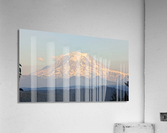 M15 Acrylic Print