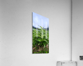 Mi16 Acrylic Print