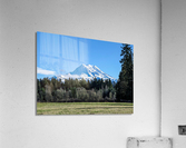 M23 Acrylic Print