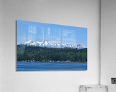 Mi14 Acrylic Print