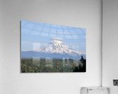 M08 Acrylic Print