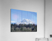 M24 Acrylic Print
