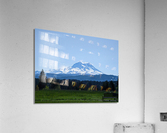 M20 Acrylic Print