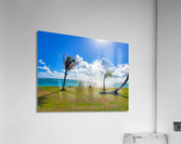 HK07 Acrylic Print