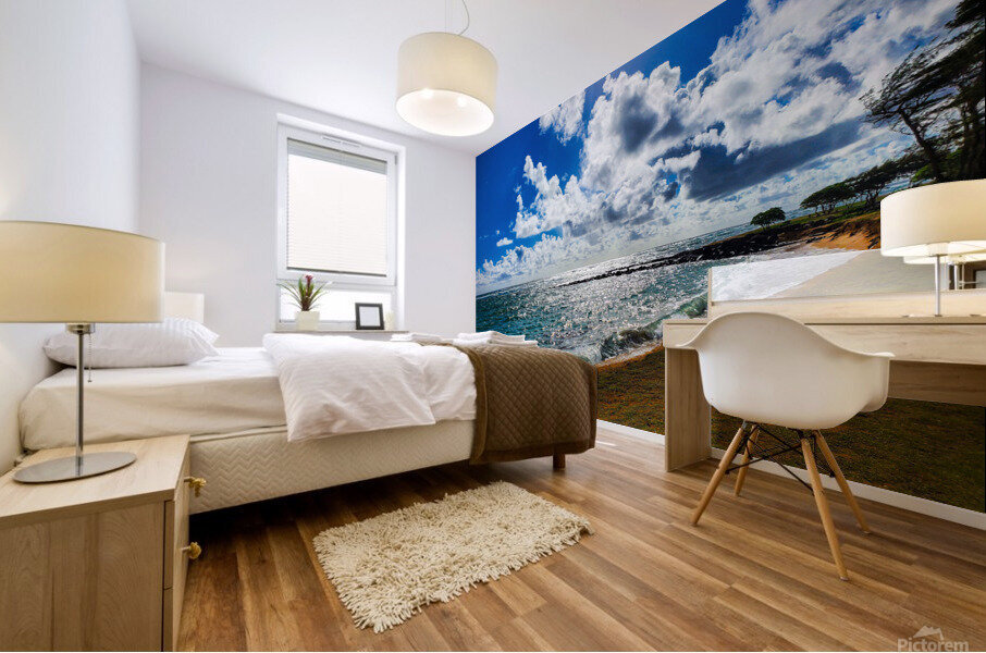 HK30 Mural print