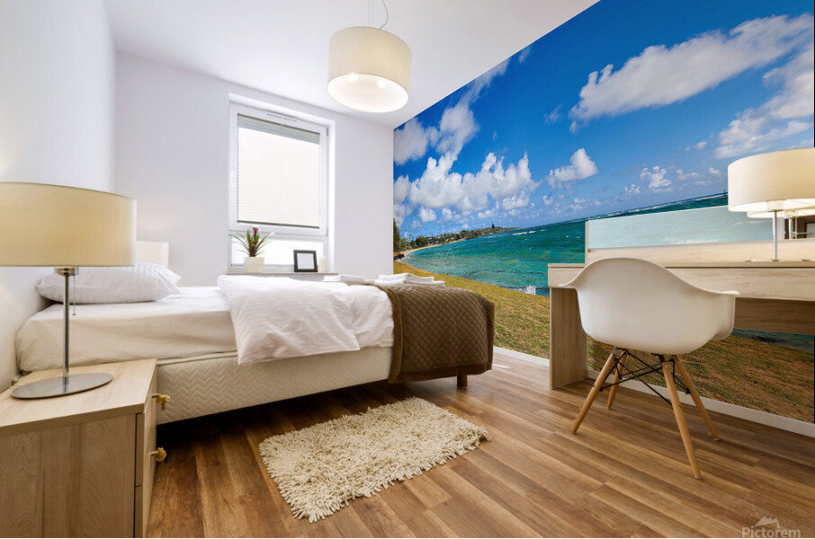 HK33 Mural print