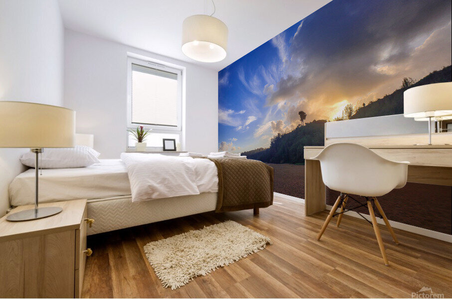 HK04 Mural print