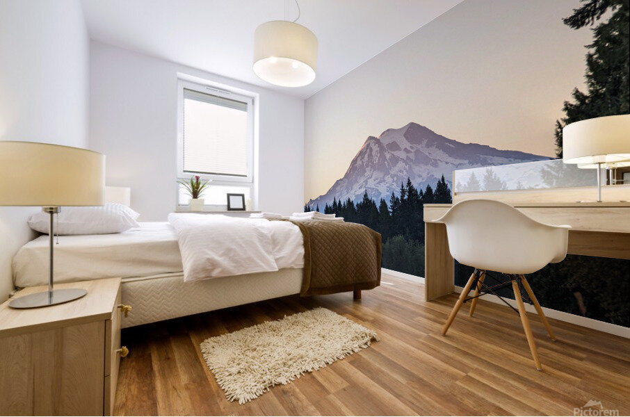 M11 Mural print