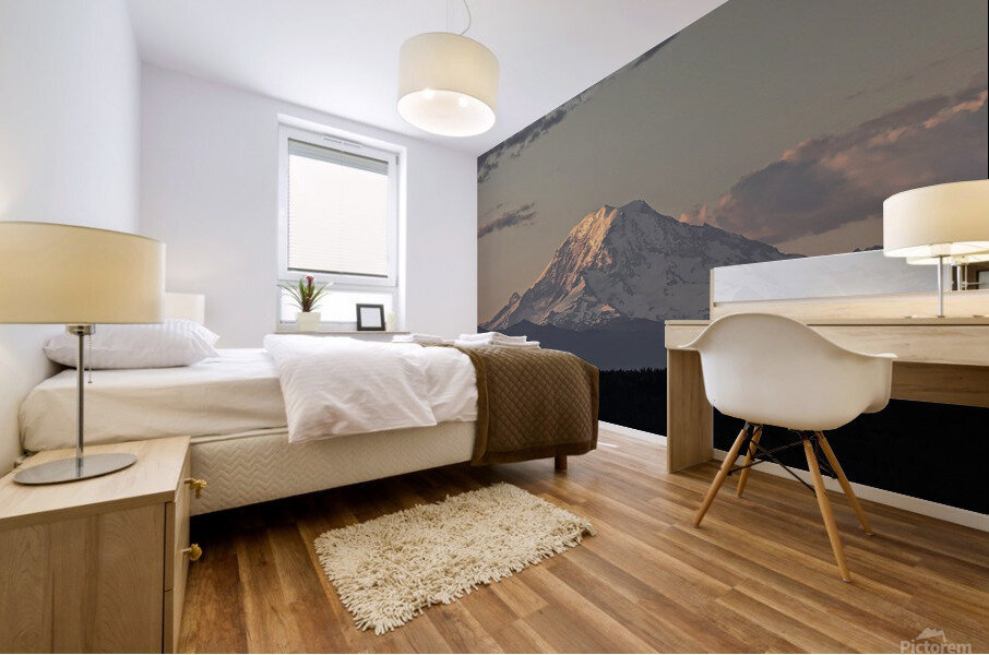 M14 Mural print
