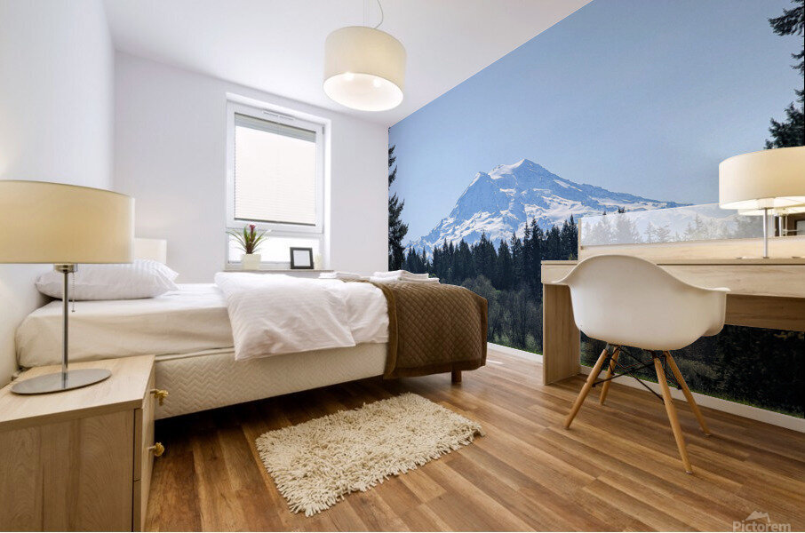 M22 Mural print