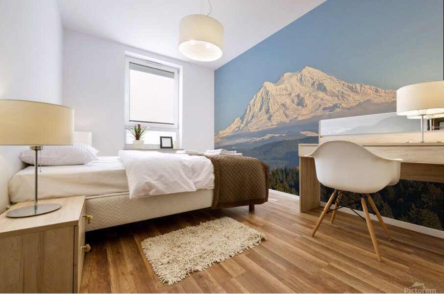 M13 Mural print