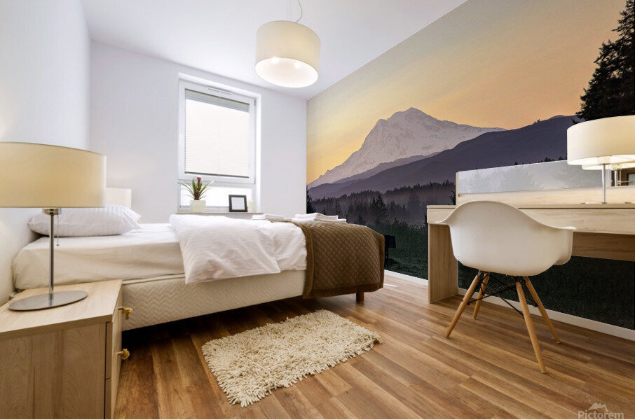 M16 Mural print
