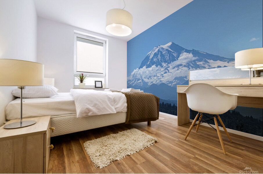 M21 Mural print