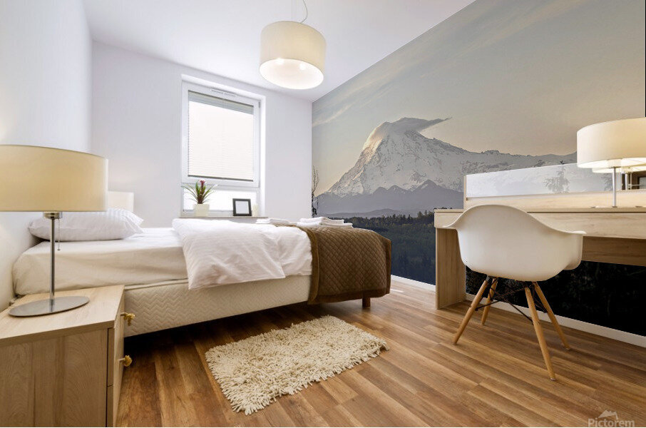 M17 Mural print