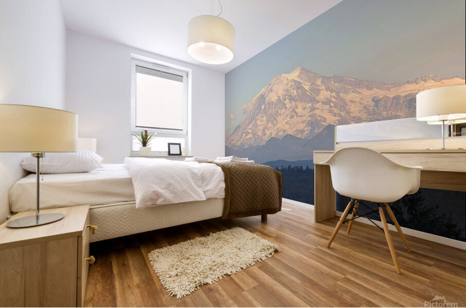 M15 Mural print