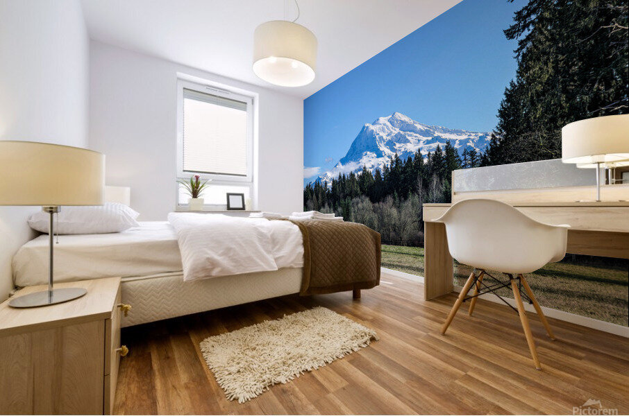 M23 Mural print