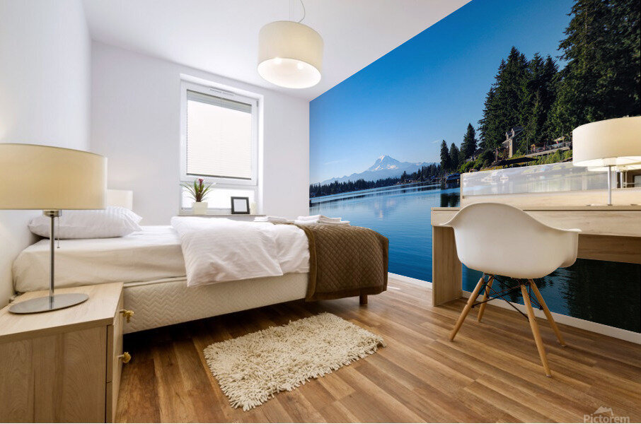 M27 Mural print
