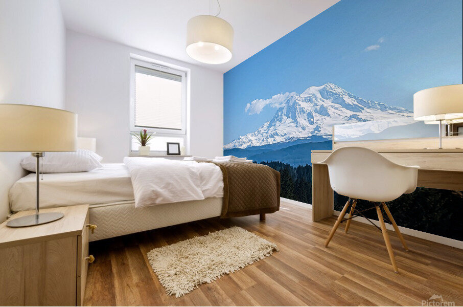 M18 Mural print