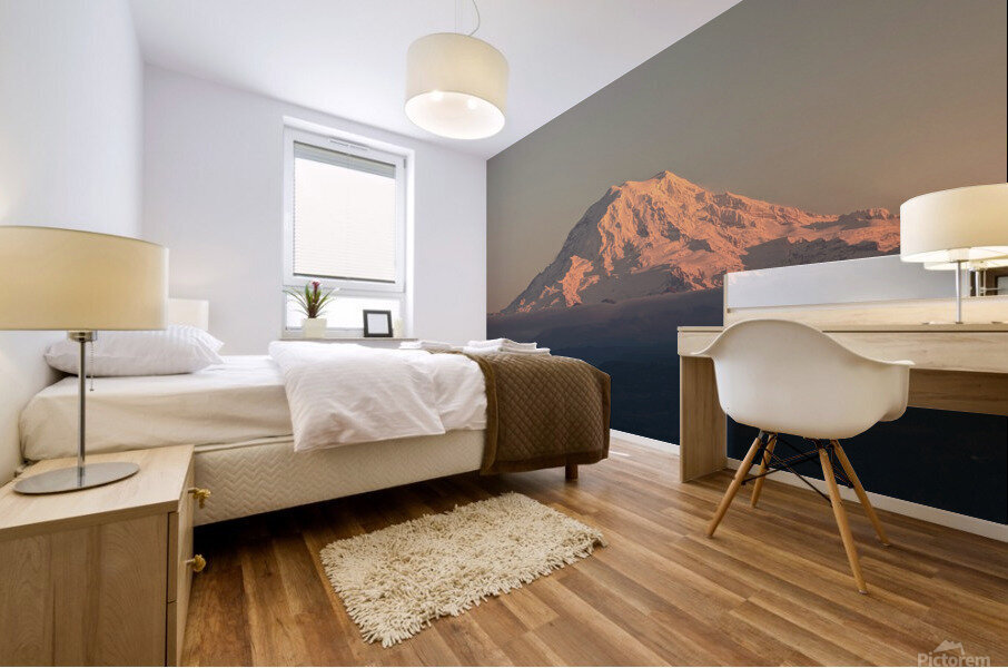 M12 Mural print