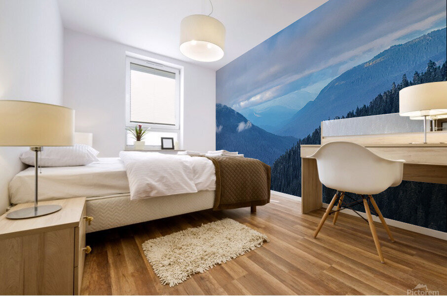 Mi13 Mural print