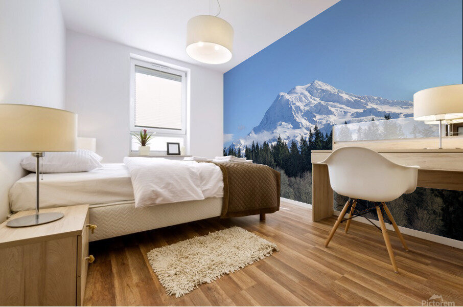 M24 Mural print