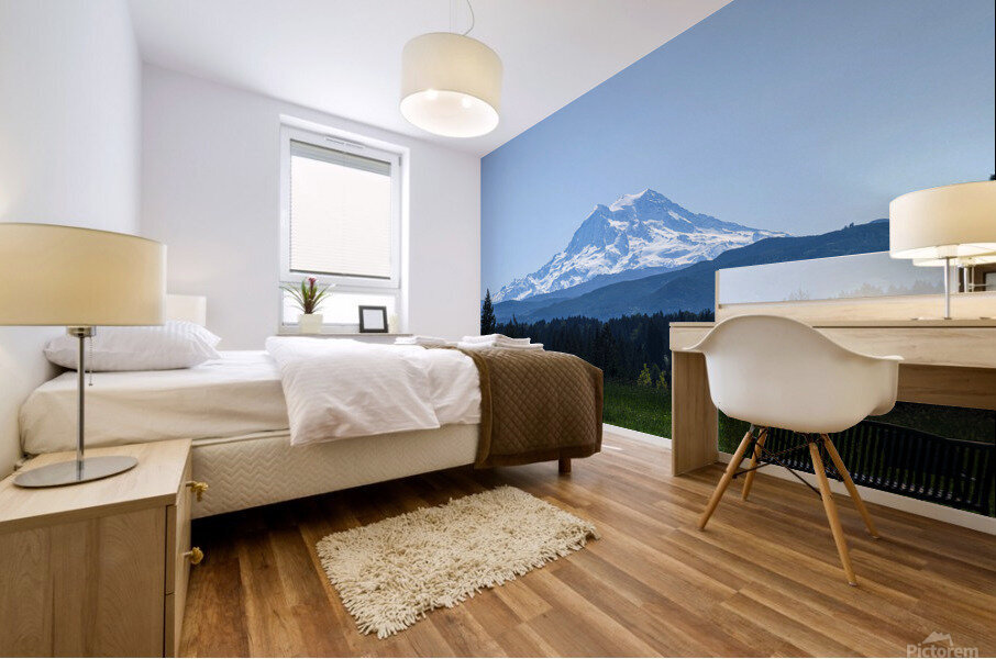 M20 Mural print