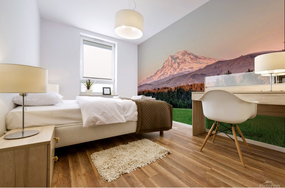M02 Mural print