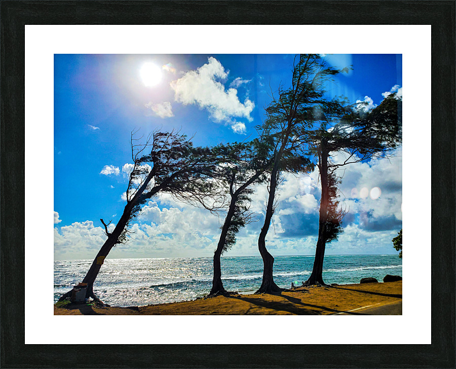HK31 Picture Frame print