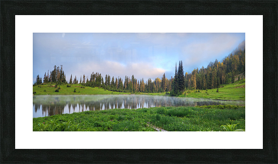 Mi11 Picture Frame print