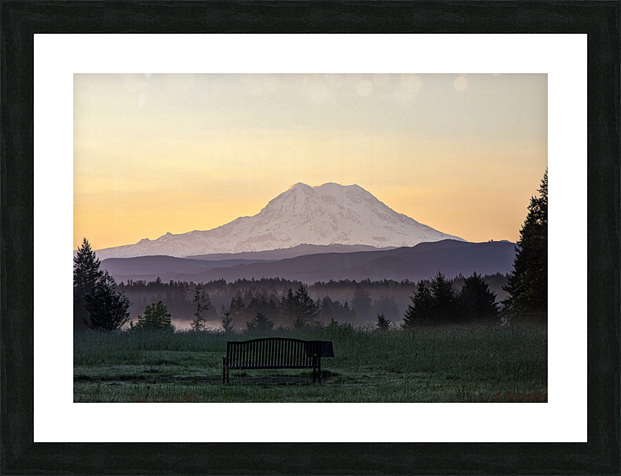 M16 Picture Frame print